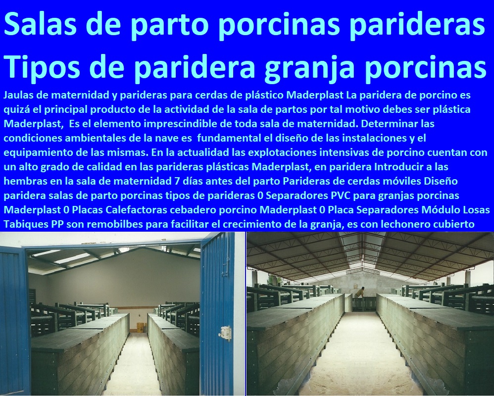 Parideras de cerdas móviles Diseño paridera salas de parto porcinas tipos de parideras 0 Separadores PVC para granjas porcinas Maderplast 0 Placas Calefactoras cebadero porcino Maderplast 0 Placa Separadores Módulo Losas Tabiques PP Parideras de cerdas móviles Diseño paridera salas de parto porcinas tipos de parideras 0 Separadores PVC para granjas porcinas Maderplast 0 Placas Calefactoras cebadero porcino Maderplast 0 Placa Separadores Módulo Losas Tabiques PP